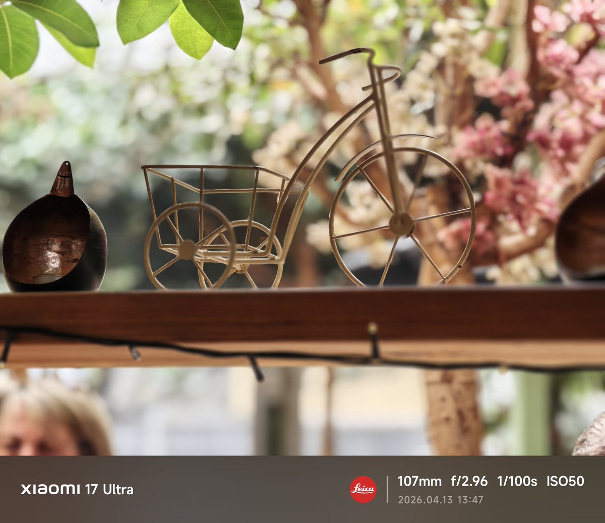 HoBByMoBIGR tweet media