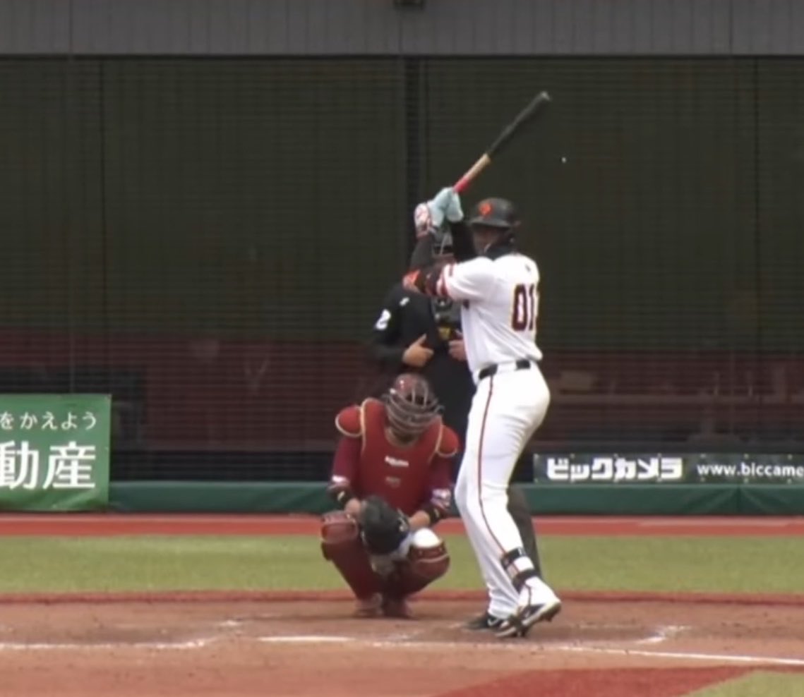 Gの毛虫 tweet media