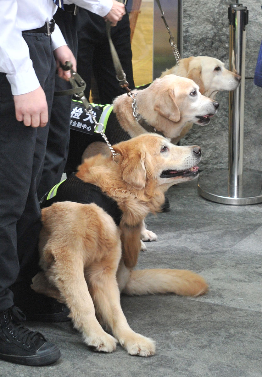 Kat Arcuri tweet media