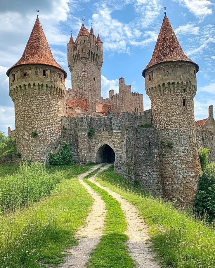 Mystic Castle tweet media