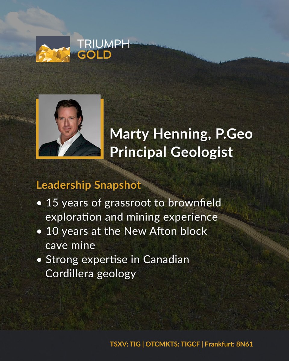 Triumph Gold Corp tweet media