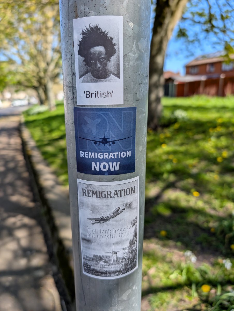 Remigration Now tweet media