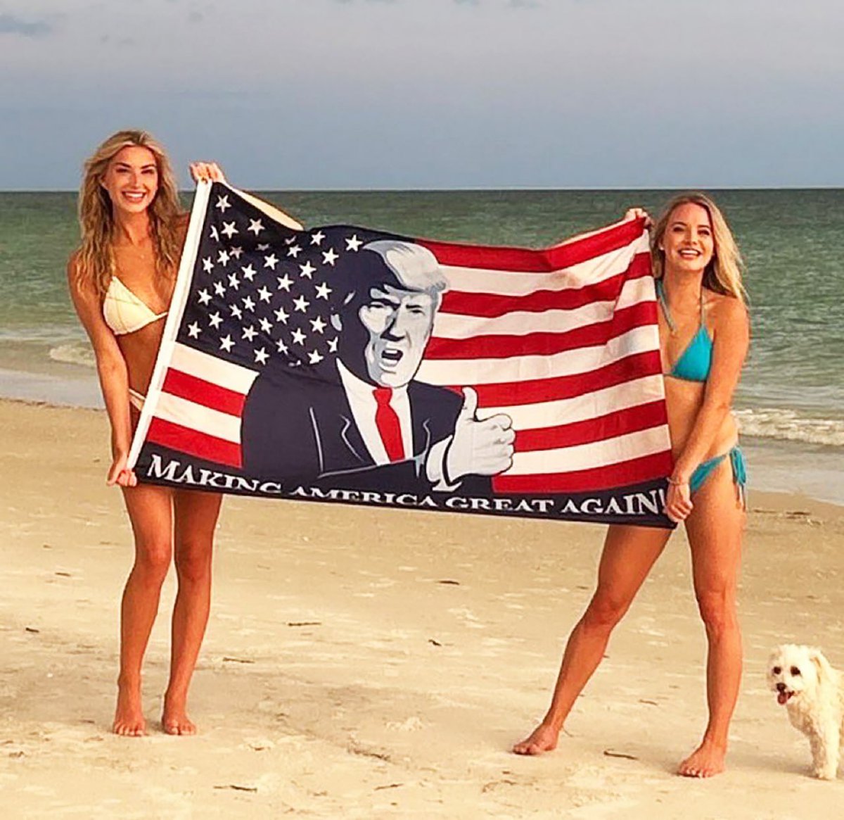 American Sublime tweet media