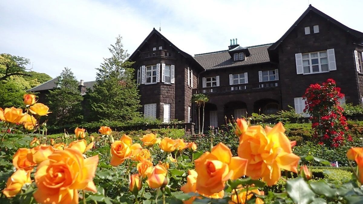 event_checker's tweet photo. 洋館とバラが織りなす
非日常の景観

4/29-6/30
旧古河庭園
「春のバラフェスティバル」

約100種 200株のバラが見頃へ
洋館と調和する庭園は都内屈指の美しさ

→ https://t.co/EAd6XUvuzR https://t.co/ewcZzseaZM