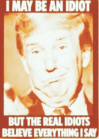 POLITRICS101 tweet media