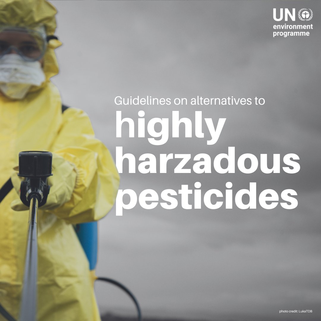 UN Environment Programme tweet media