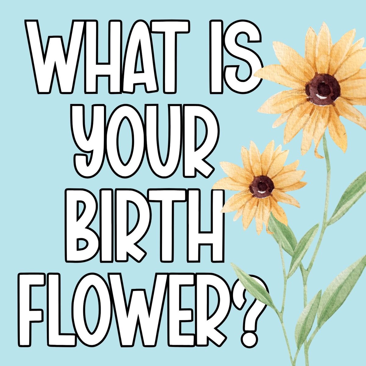 Ava Addams tweet media