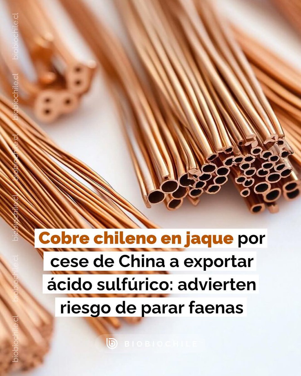 Patriota Furioso / Info War Chile 🪖🇨🇱 En Guerra tweet media