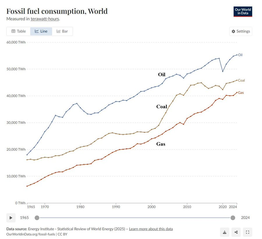 David Windt tweet media