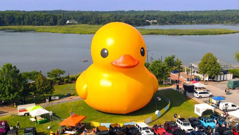 Johnny_Recruiter tweet media