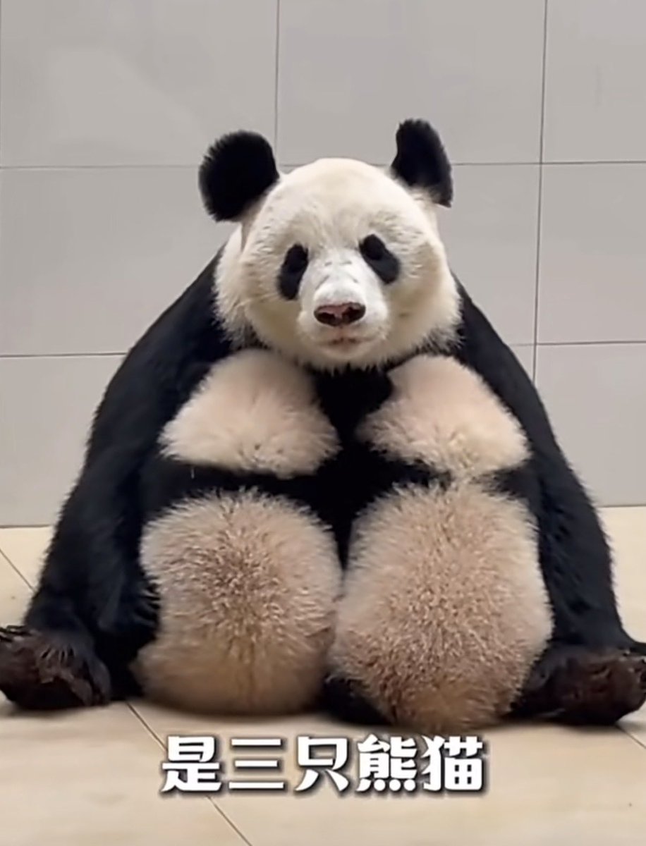 soonnnnn tweet media