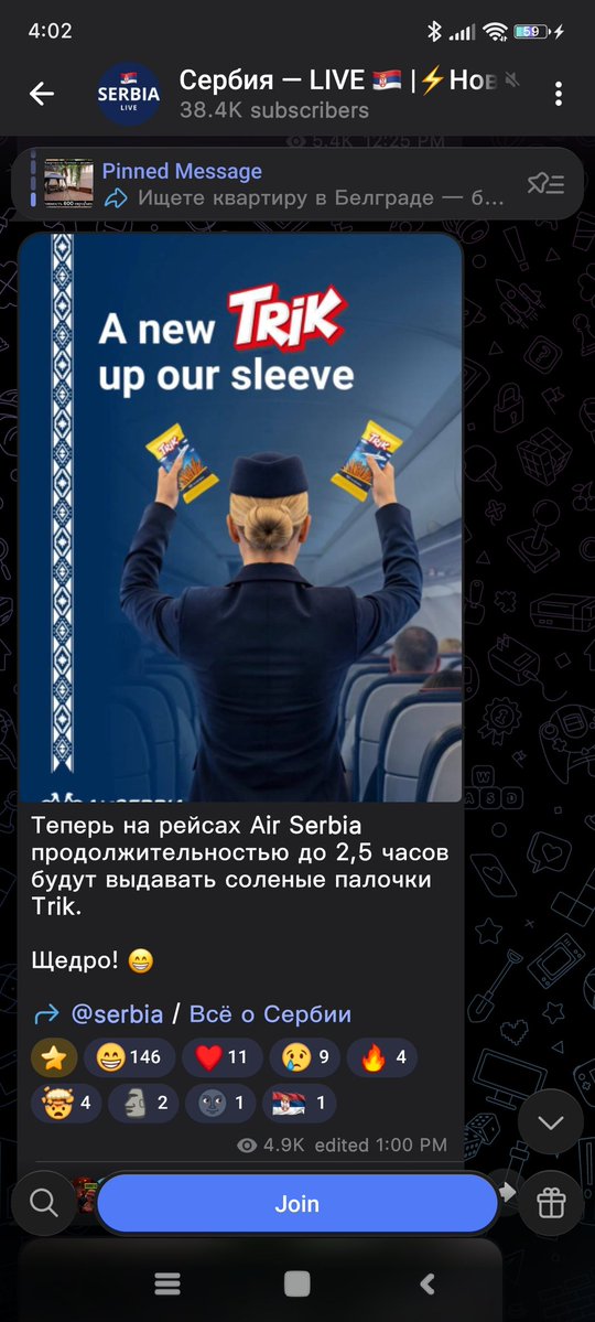 Енотовидная Псина tweet media