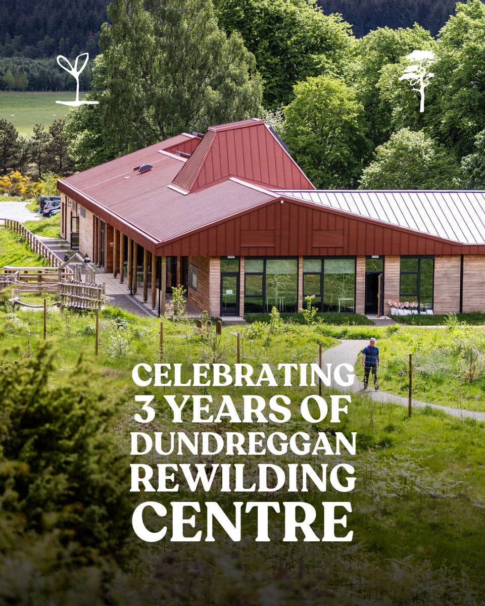 Trees for Life tweet media