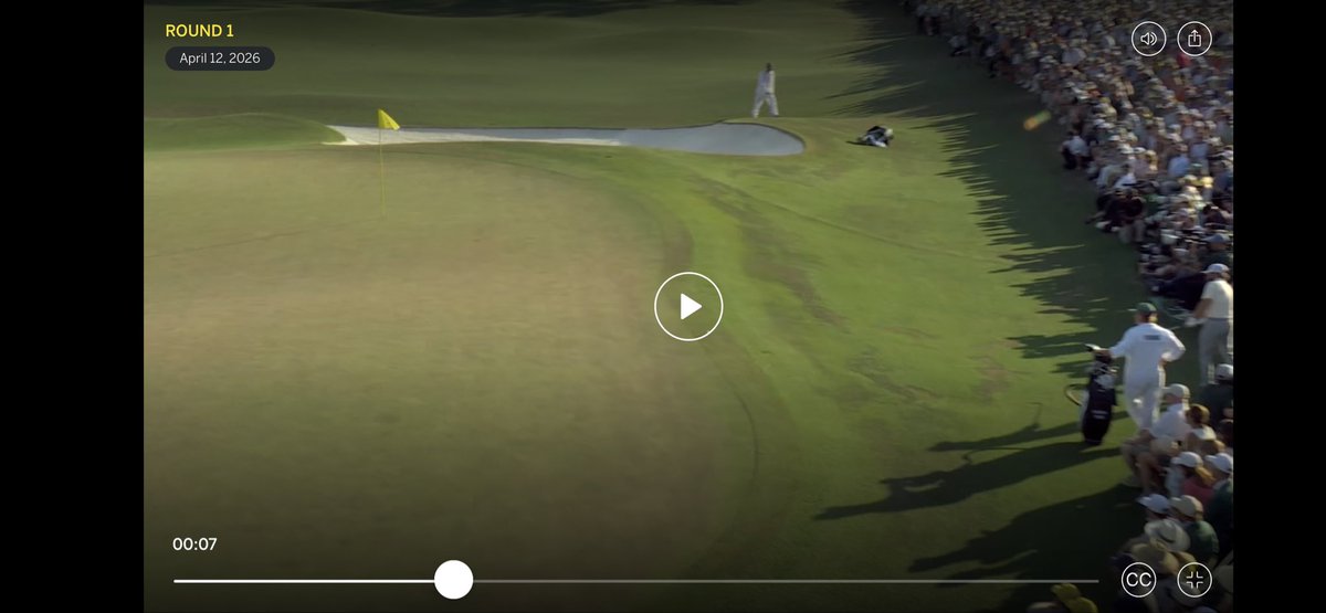 Coastal Wildcat ©️ tweet media