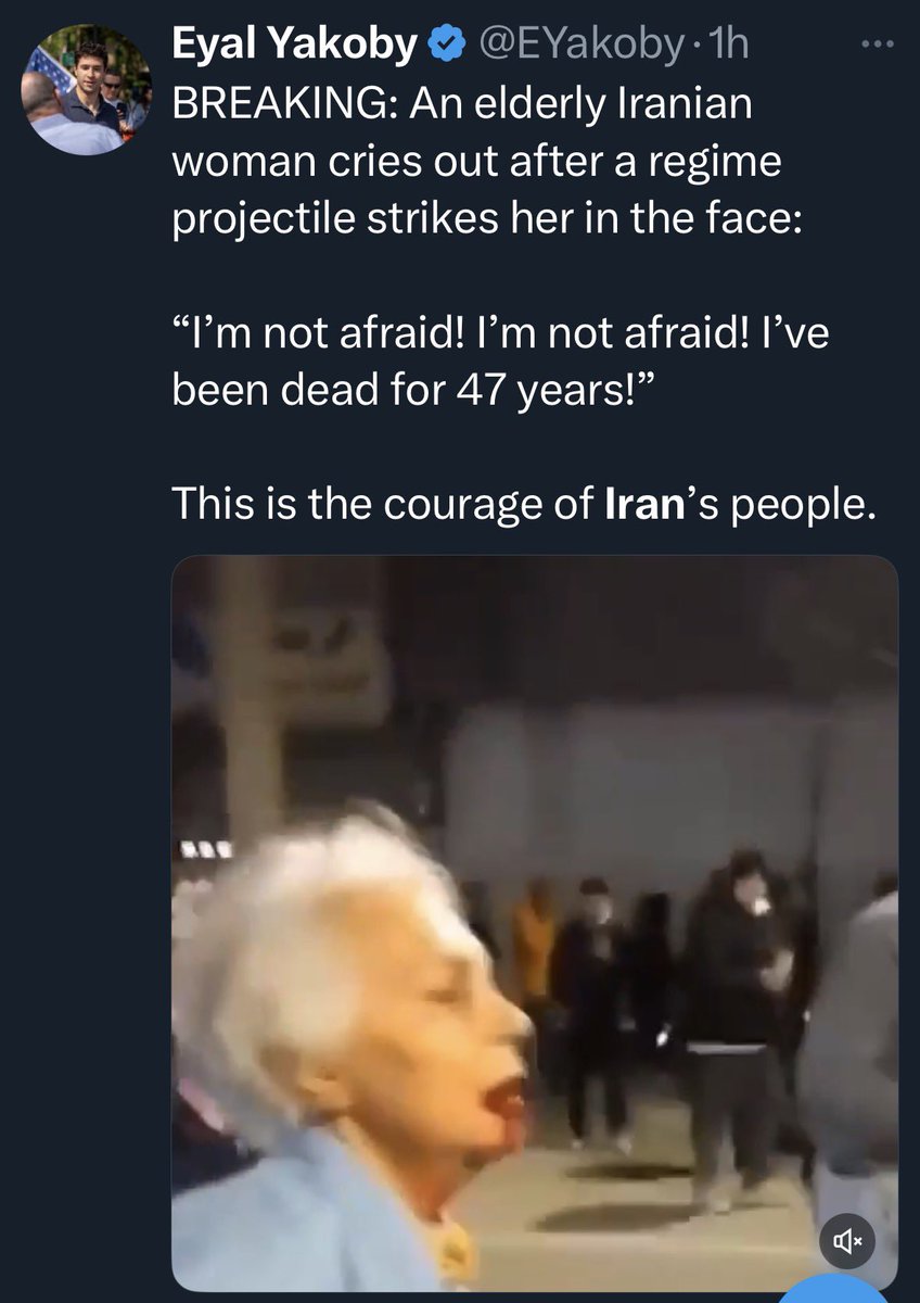 A Wheat Kernel tweet media