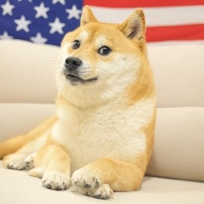 AMERICAN DOGE -$DOGA tweet media