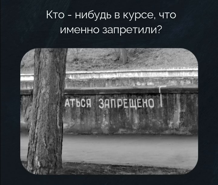 Олег Красносельцев tweet media