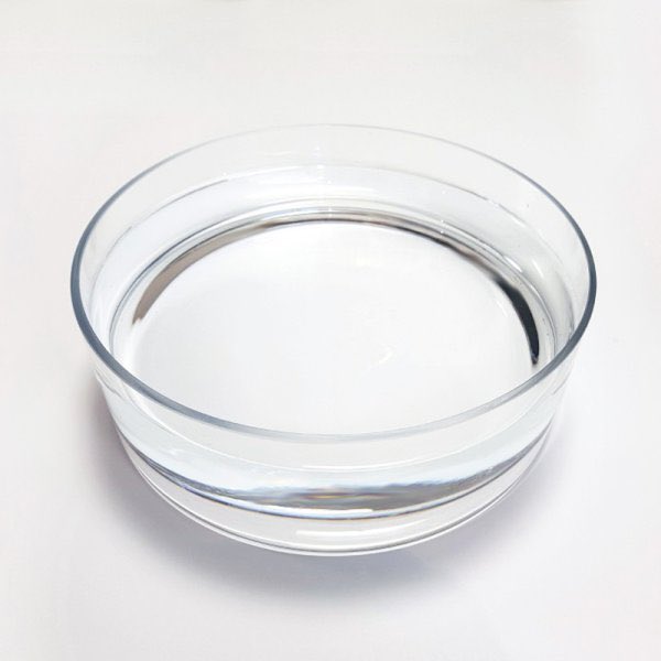 🍯스푸카 {퍼리요정}🍯 tweet media