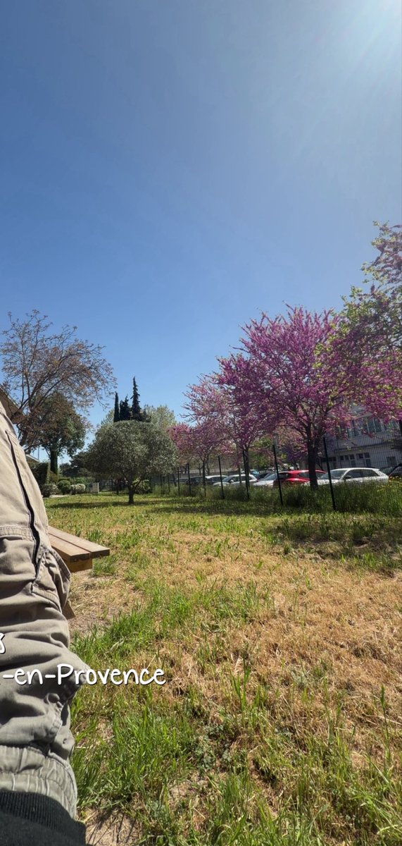 Eliès 🇩🇿 tweet media