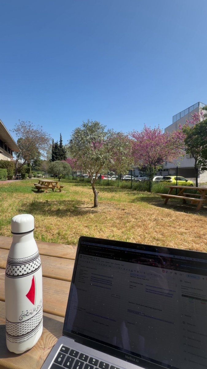 Eliès 🇩🇿 tweet media