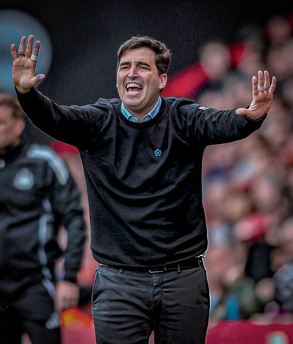 𝐅𝐚𝐧 𝟏𝟎 tweet media