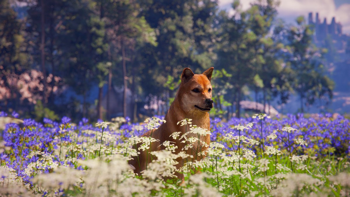 SindyJ_B's tweet image. Crimson Desert