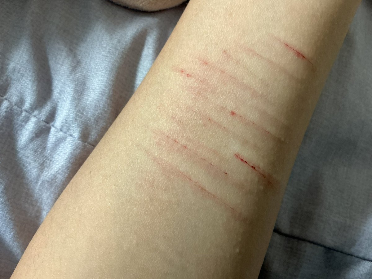 Marin of shedtwt (larp) tweet media