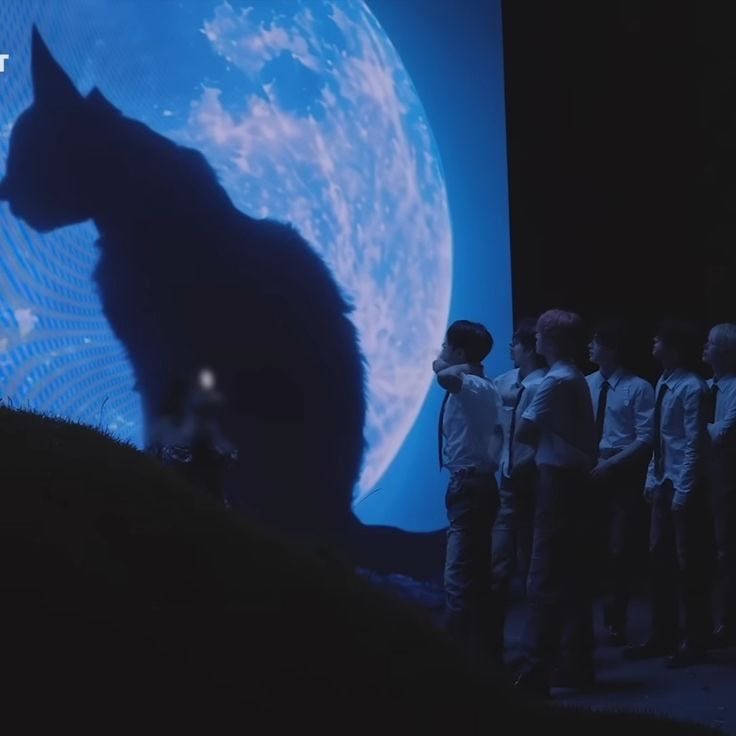 쨥쨥떠누~ | ENH7PEN tweet media