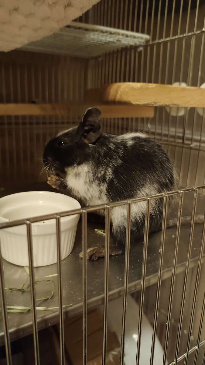 ゆーき tweet media