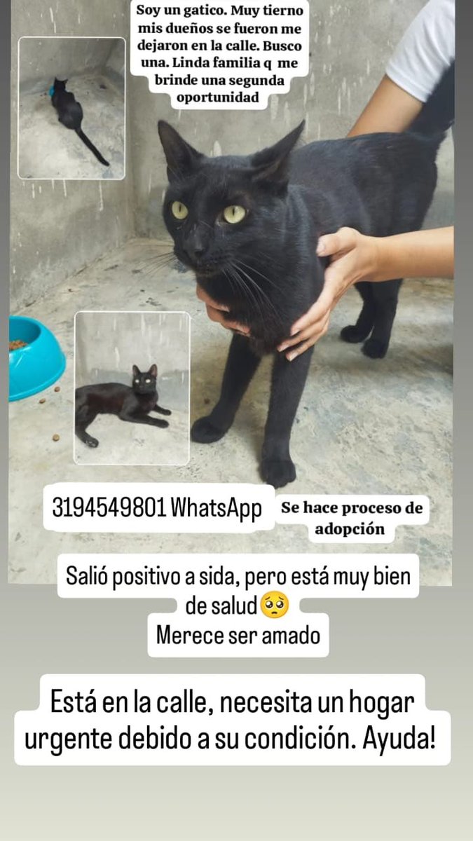 🌞🍒𝑴𝒂𝒓𝒊𝒔 tweet media