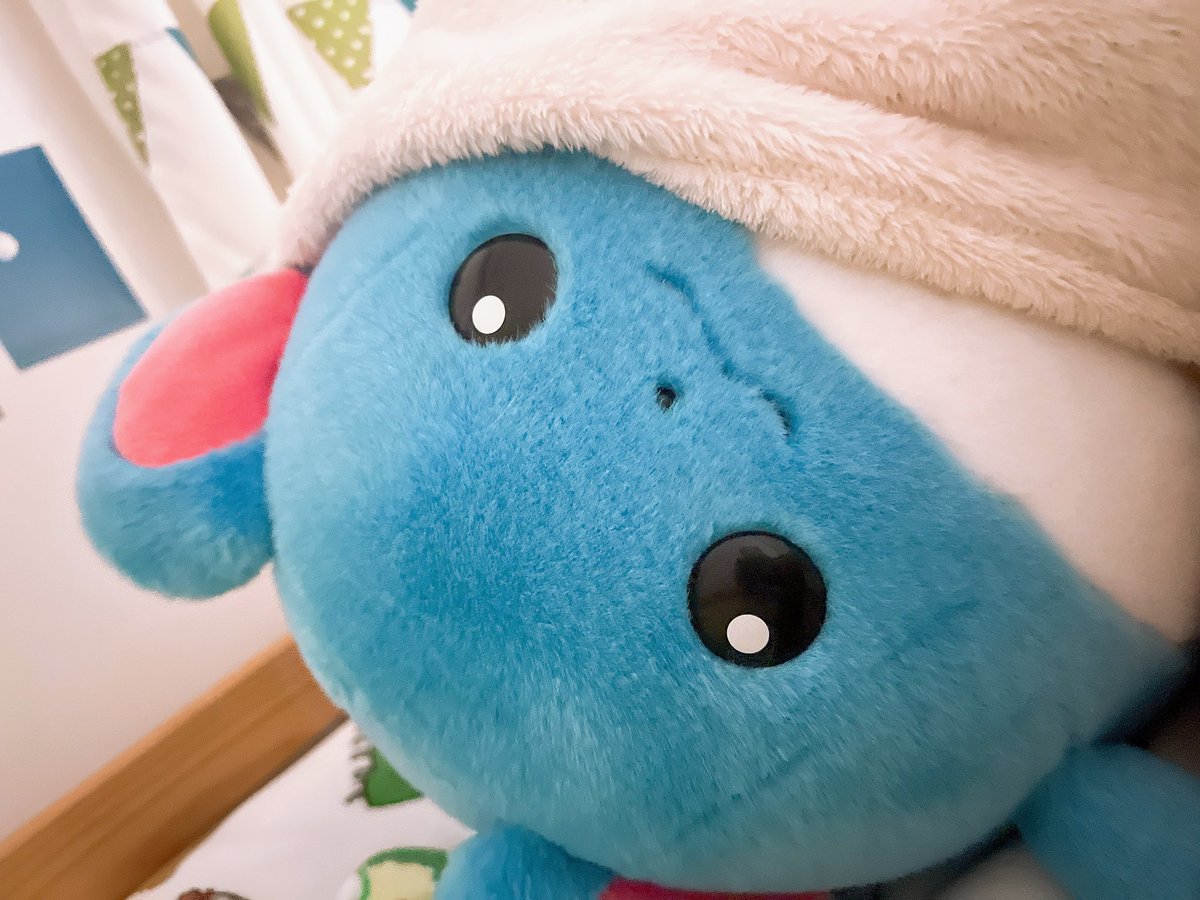 もくろトレーナー tweet media