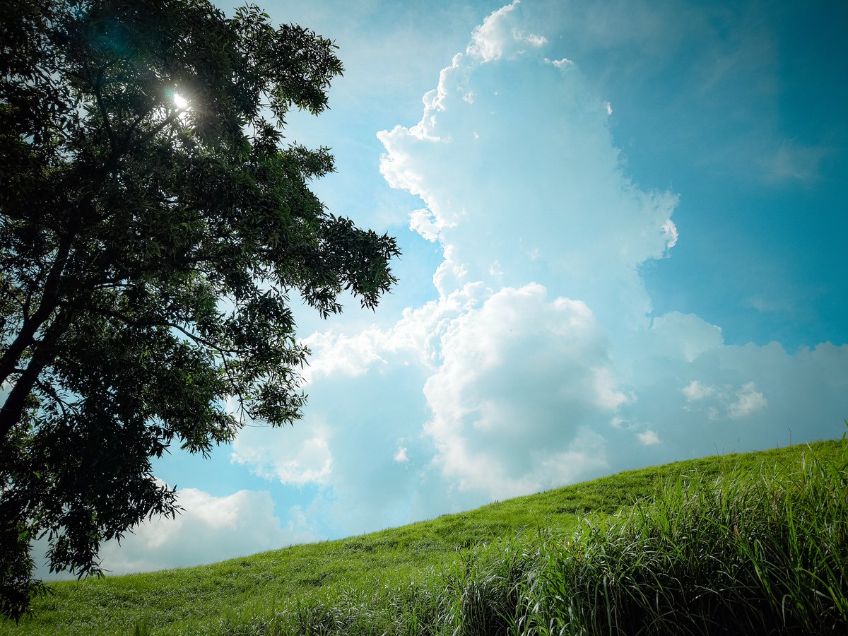 reject_dispute's tweet image. たまにはFindx8Ultraの写真でも📷️
#Findx8Ultra #OPPO