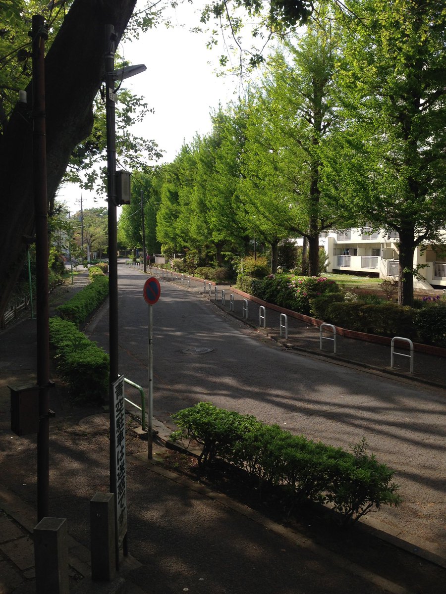 YuIkrc9's tweet photo. 🚶‍♂️ https://t.co/wtwCoUtoP5