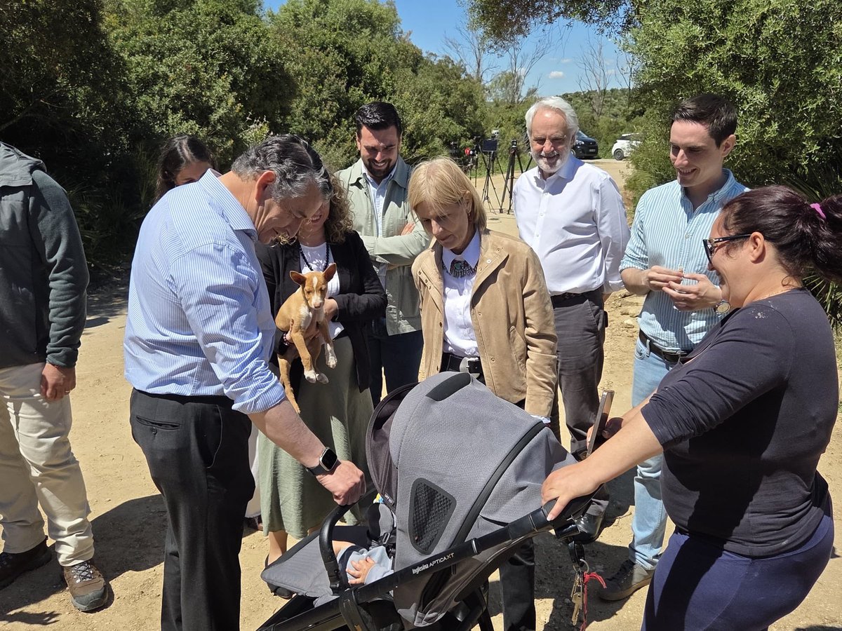 antoniosanz's tweet photo. 🌧️ Cuando llegaron las borrascas a #Andalucía, el Gobierno de @JuanMa_Moreno estuvo donde tenía que estar: en #LaBarca, #Jerez y en toda #Cádiz, con respuesta inmediata, inversión y soluciones.
💶En #Jerez 52,7 M€ movilizados destinados a:
🦺 Actuaciones de emergencias
🚜 Caminos rurales
🌊 Mejora del cauce del Guadalete
🌾 Ayudas a gricultores y ganaderos
👷 Y además, obras de emergencias ya al 70%
El #17M elegimos: eficacia o caos.