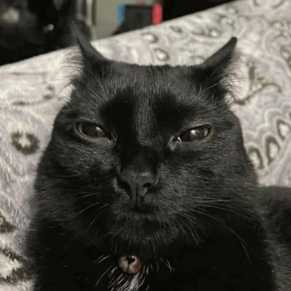 ROSIE | SHOTAFUCKER💢😭🥞 tweet media