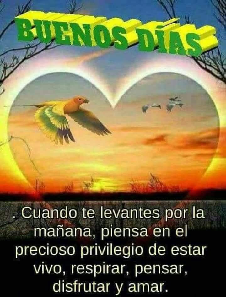 Muy buenos días😃, *DIOS* diseño tu vida a la perfección, encomiendate a él y te llevará directo a la felicidad, solo ten *FE*🙏 *Que tengas un bendecido martes* 😉👍Buena vibra