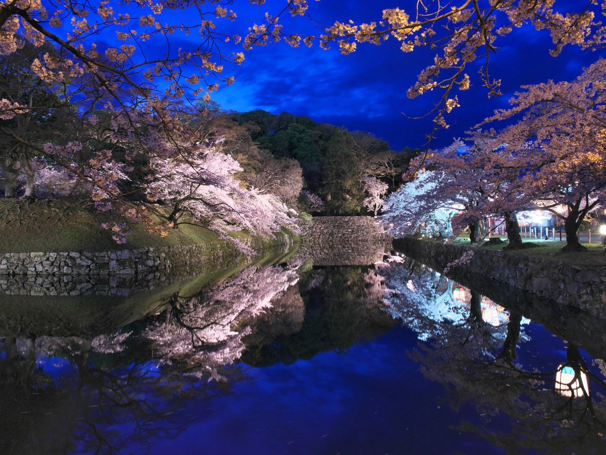 ざんざるぶ tweet media