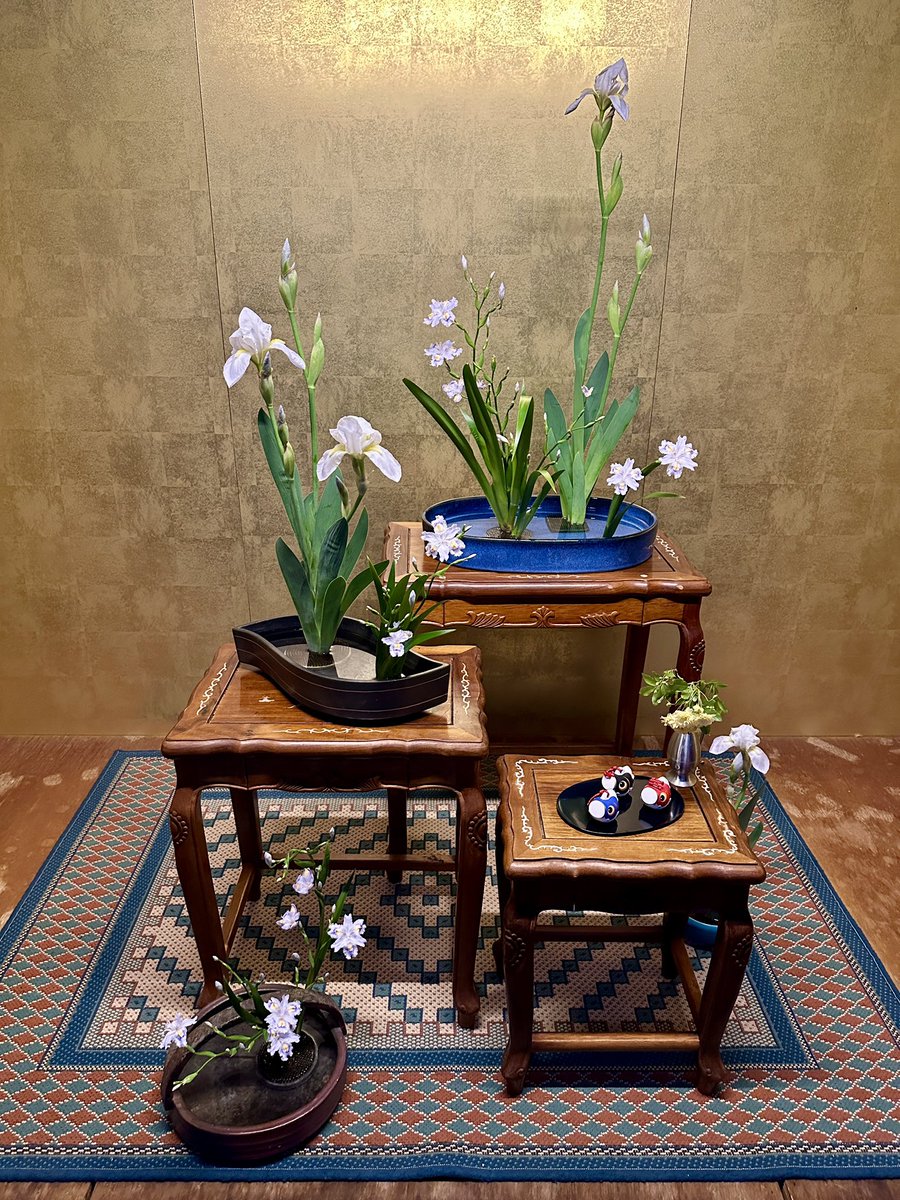 お参りさんをお迎えするお花に生けたシロバナイチハツが咲き始めました💖