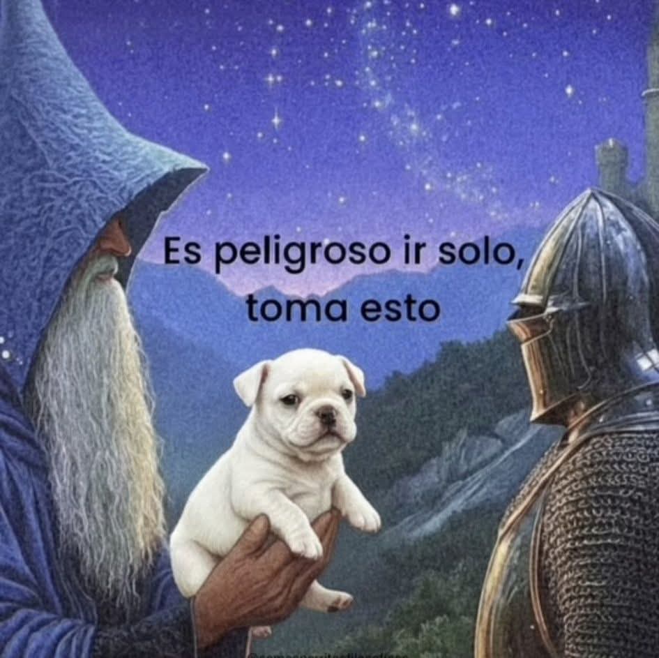 Nasty Poet tweet media