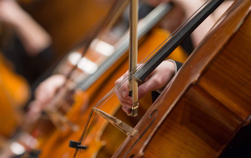 Wentzville Schools tweet media