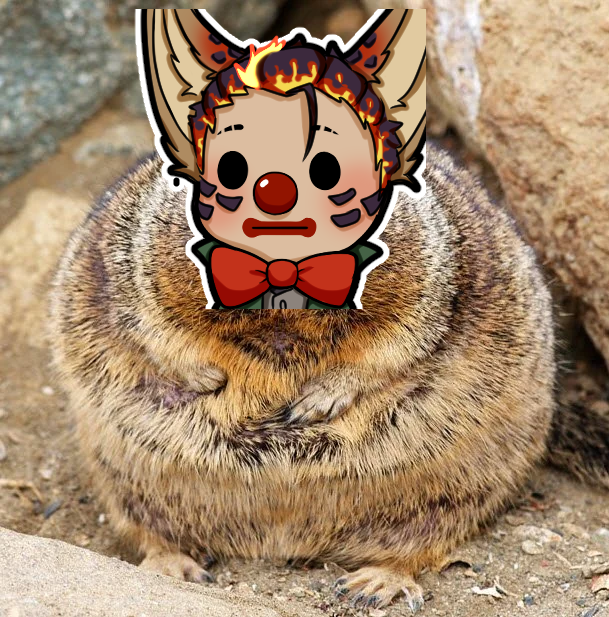 Avik Fortis 🌋🦊 Magma Fennec Merc tweet media