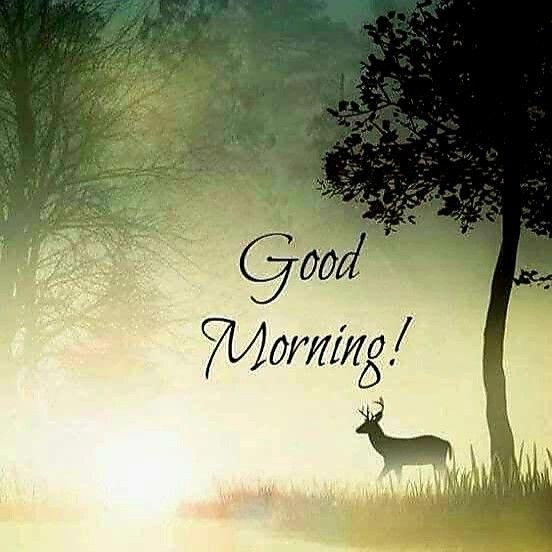 Eric Swensson tweet media