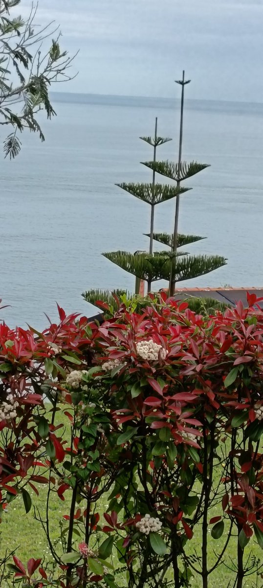 Eukeni Sustaeta Oianguren🏳️‍🌈🇲🇰🇵🇸🇷🇺 tweet media