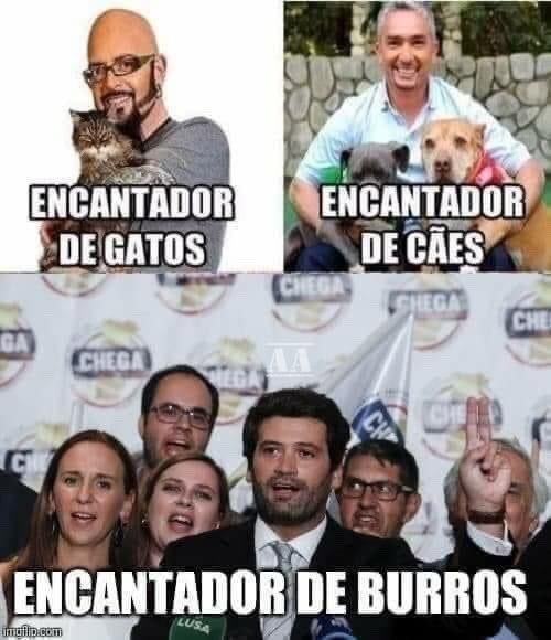 Xuxalista Queque tweet media