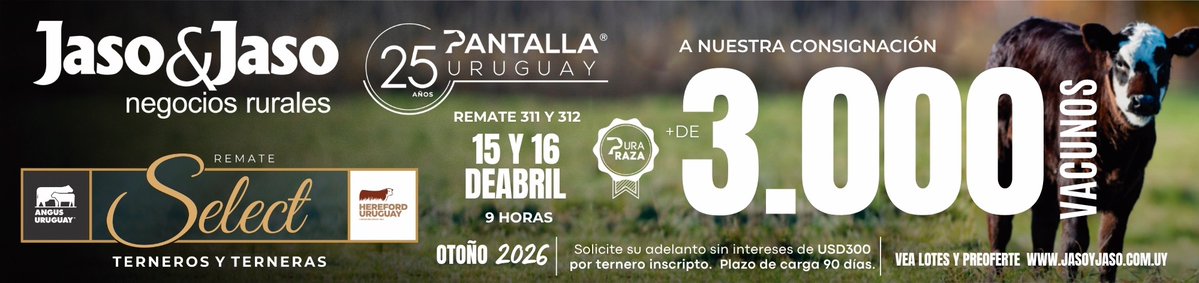 Jaso & Jaso tweet media