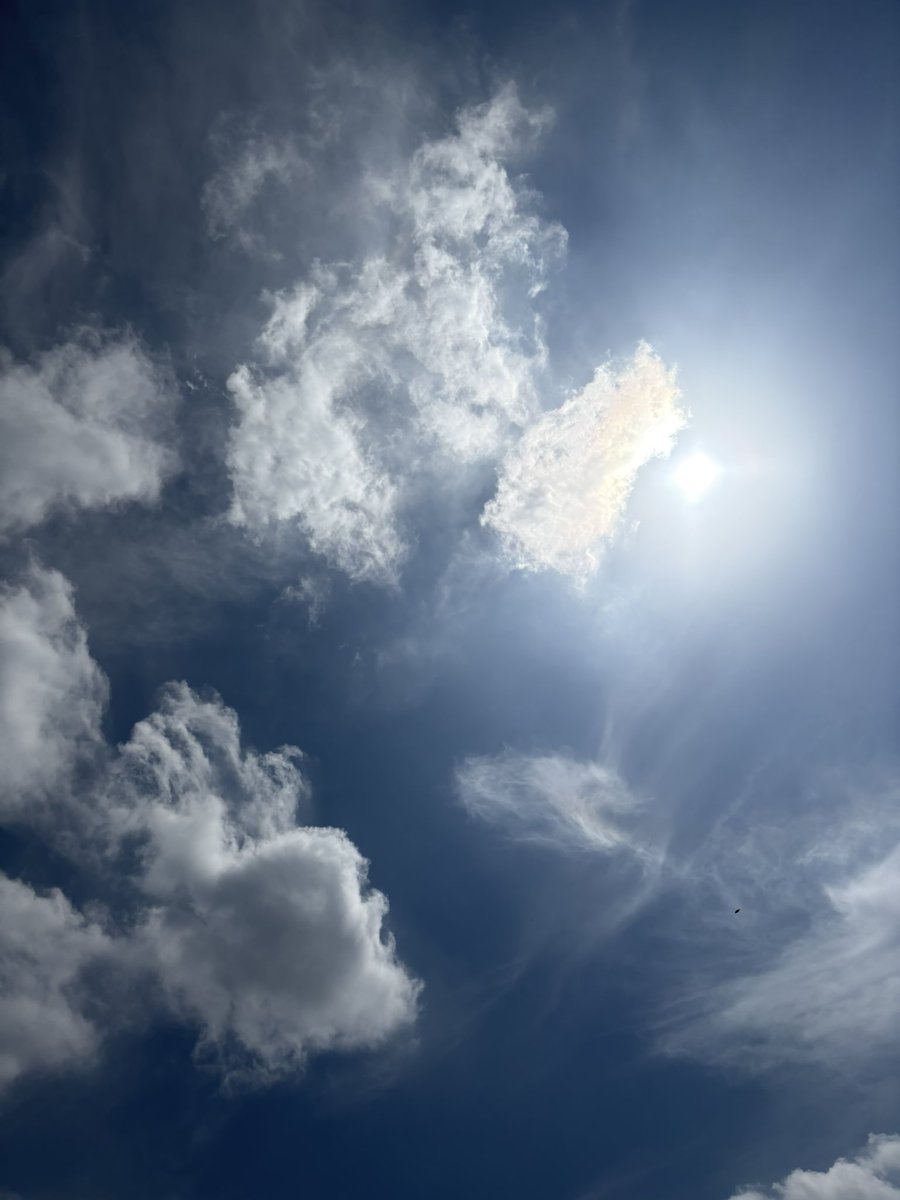 megu🎧メグハム💜💎 tweet media