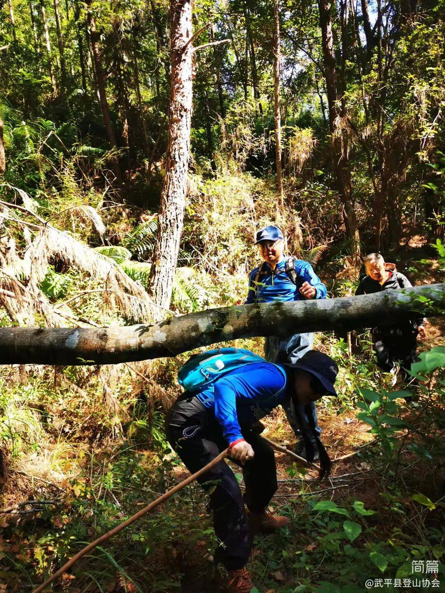 Kimberly Anderson tweet media