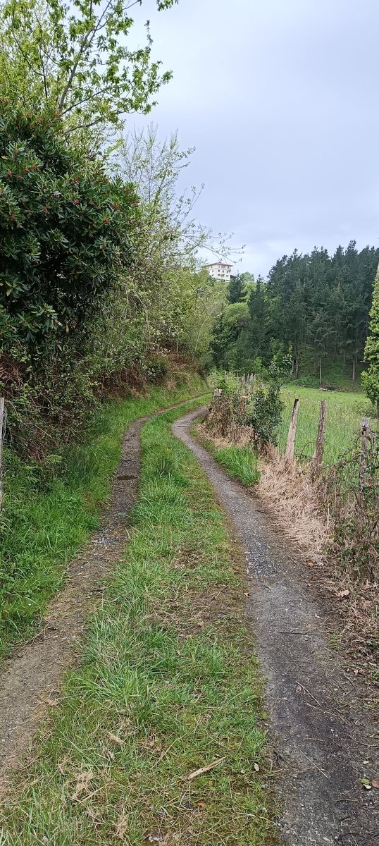 Eukeni Sustaeta Oianguren🏳️‍🌈🇲🇰🇵🇸🇷🇺 tweet media