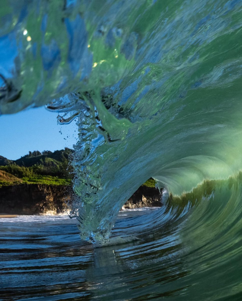 𝓜𝓸𝓸𝓷 tweet media