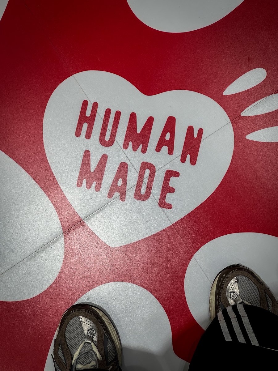 มาตามหาช้าง